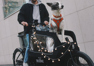 Pourquoi le vélo électrique est-il le cadeau idéal ?