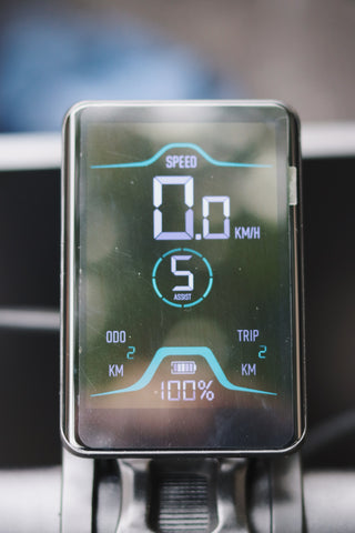 Family School (6 places)